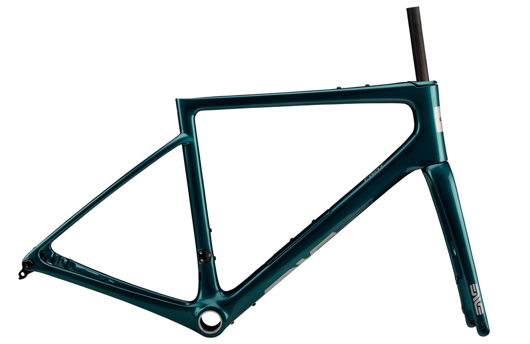 ENVE Fray Frameset Custom Build